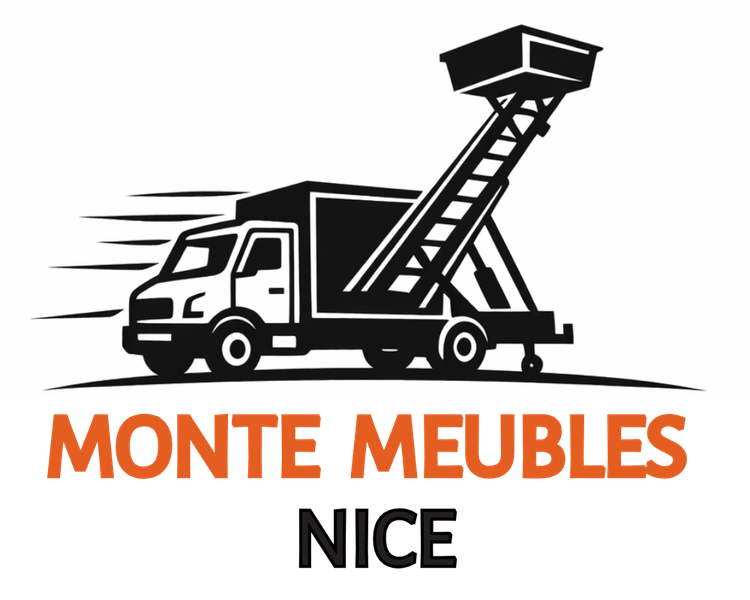 MONTE CHARGE TOULOUSE (3)